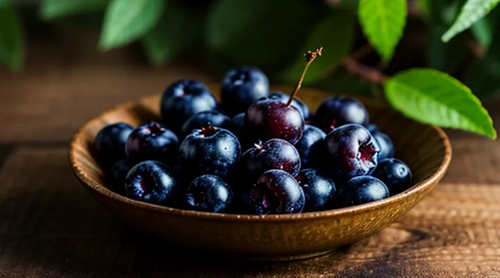 Чем полезна ягода жимолости, кому её можно употреблять, а кому нельзя?