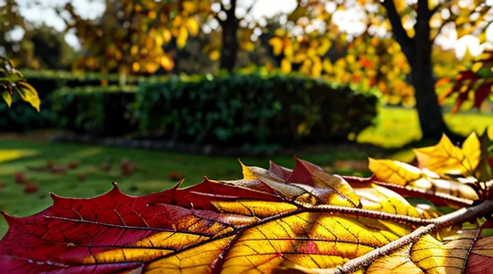 Что означают ржавые пятна на листьях яблони?