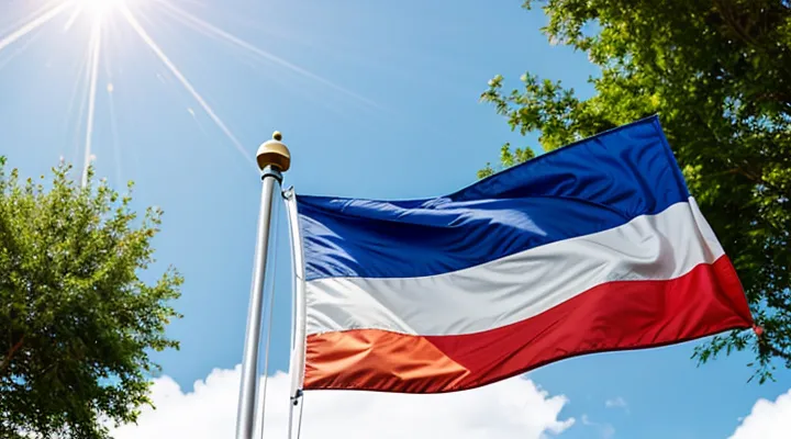 Флаг России — что означает каждый цвет?