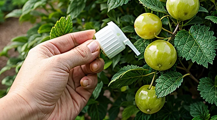 Как бороться с мучнистой росой на крыжовнике?